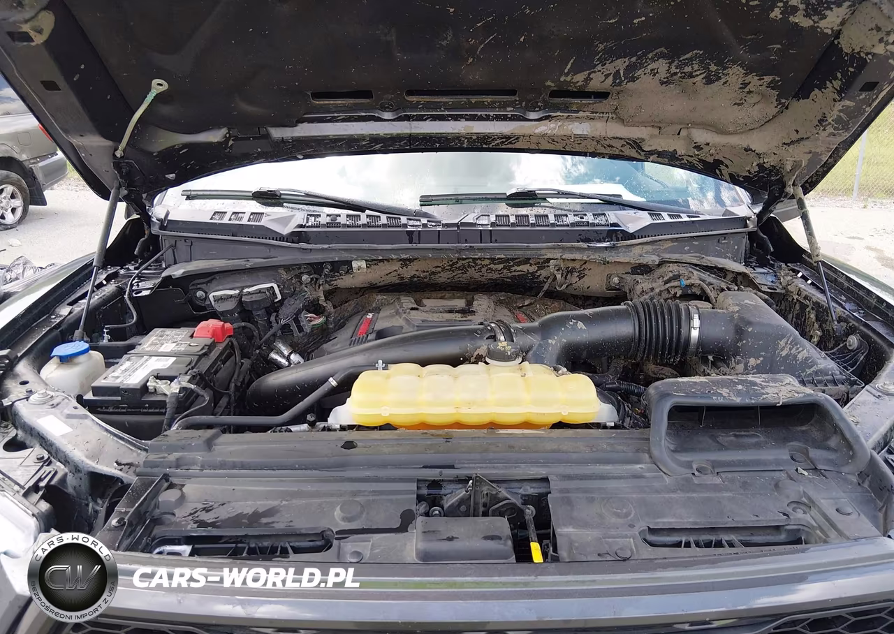2019 Ford F-150 Raptor VIN:1FTFW1RG6KFA07209 - 10