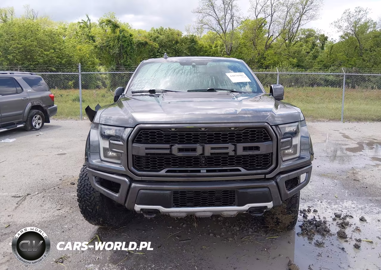 2019 Ford F-150 Raptor VIN:1FTFW1RG6KFA07209 - 12
