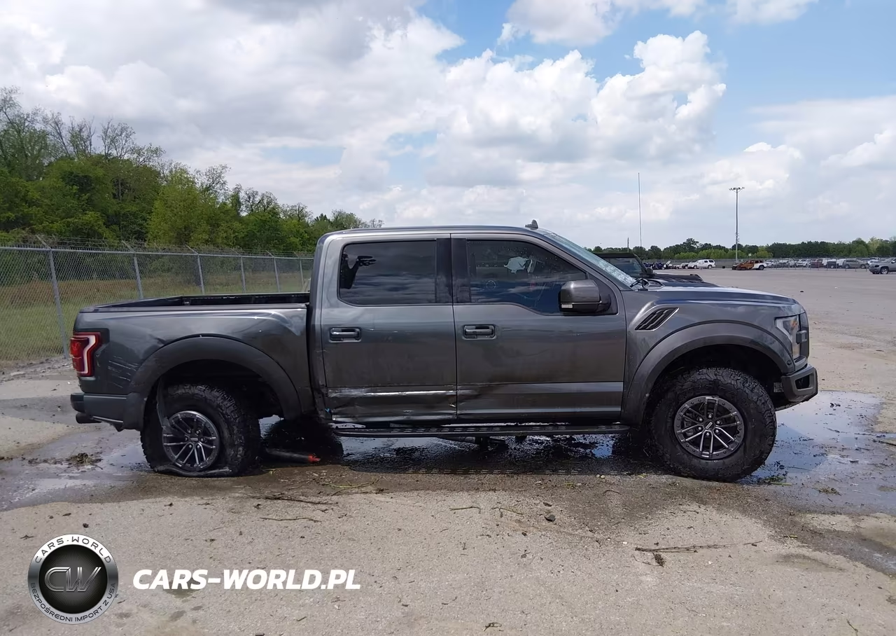 2019 Ford F-150 Raptor VIN:1FTFW1RG6KFA07209 - 13
