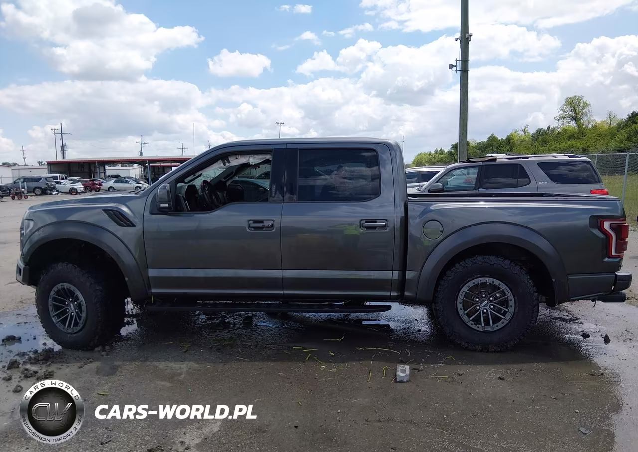 2019 Ford F-150 Raptor VIN:1FTFW1RG6KFA07209 - 14