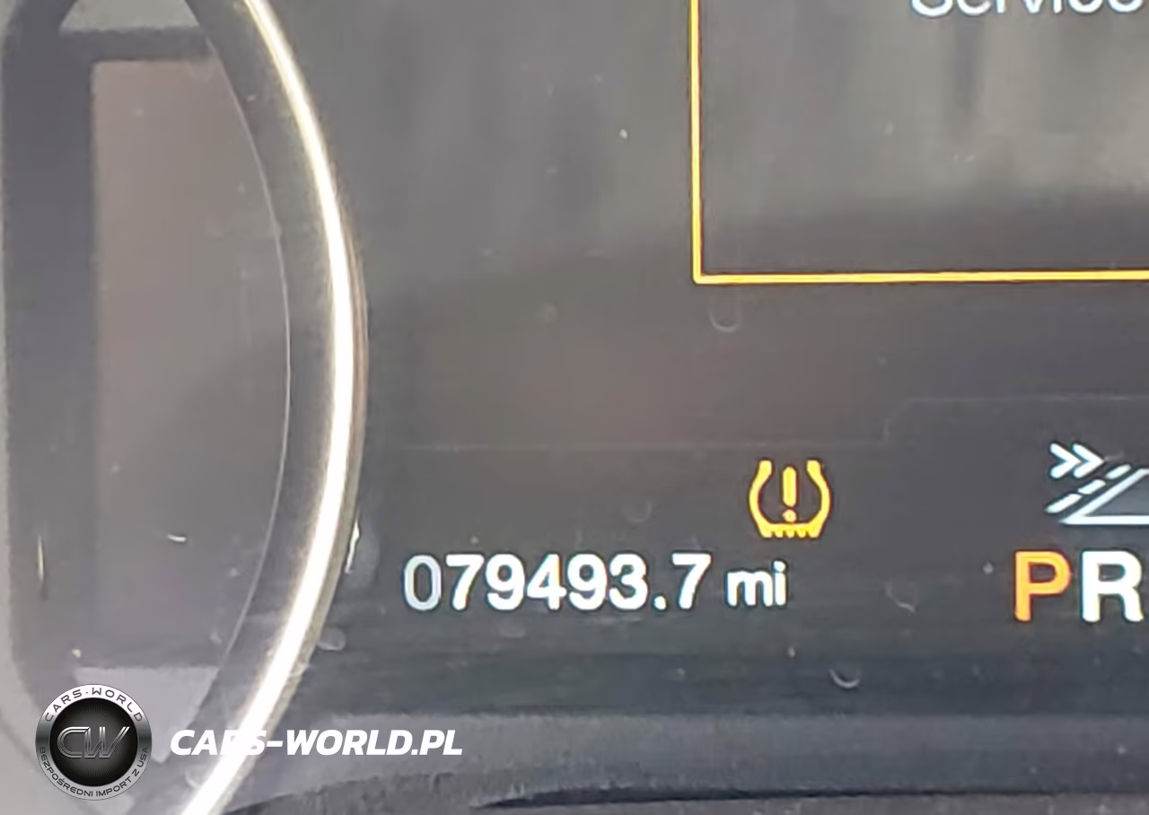 2019 Ford F-150 Raptor VIN:1FTFW1RG6KFA07209 - 15