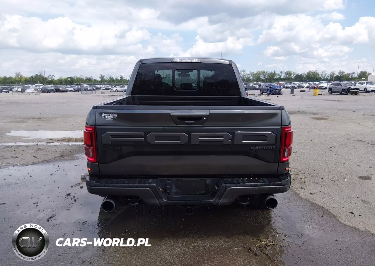 2019 Ford F-150 Raptor VIN:1FTFW1RG6KFA07209 - 16