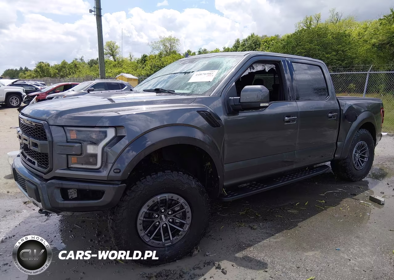 2019 Ford F-150 Raptor VIN:1FTFW1RG6KFA07209 - 2