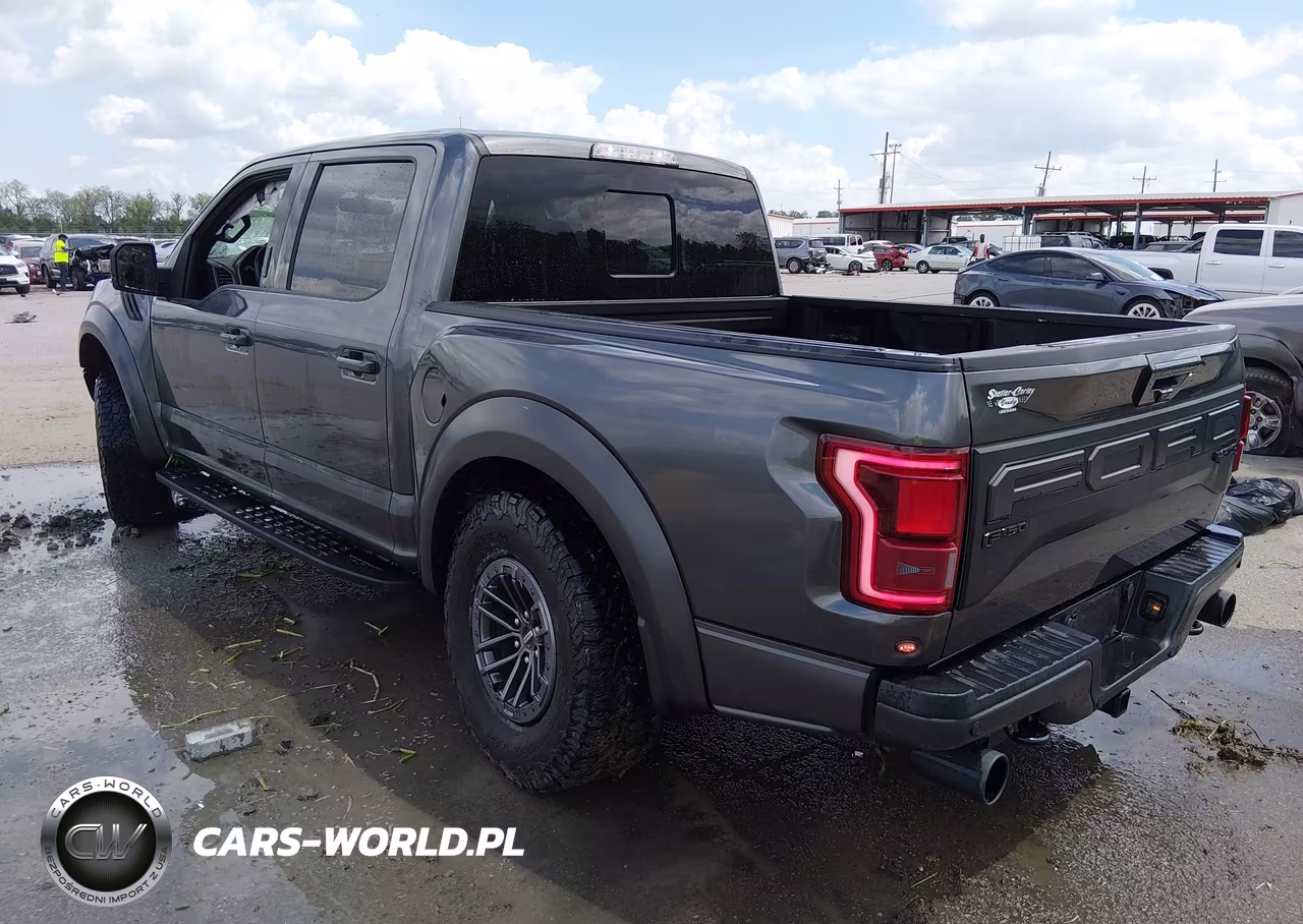 2019 Ford F-150 Raptor VIN:1FTFW1RG6KFA07209 - 3