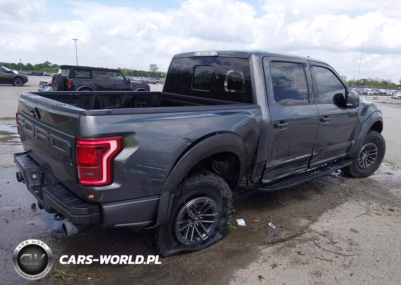 2019 Ford F-150 Raptor VIN:1FTFW1RG6KFA07209 - 4