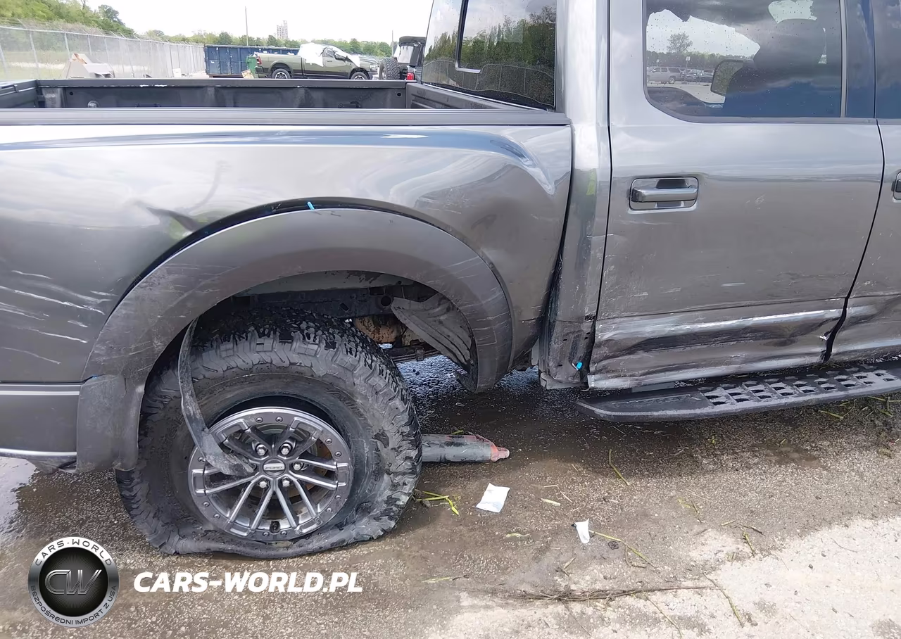2019 Ford F-150 Raptor VIN:1FTFW1RG6KFA07209 - 6