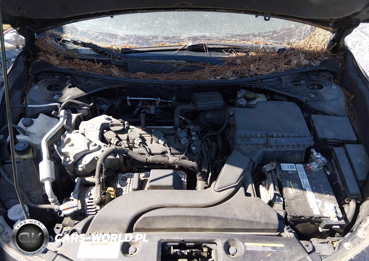 2013 Nissan Altima 2.5 S VIN:1N4AL3AP5DC295051 - 10