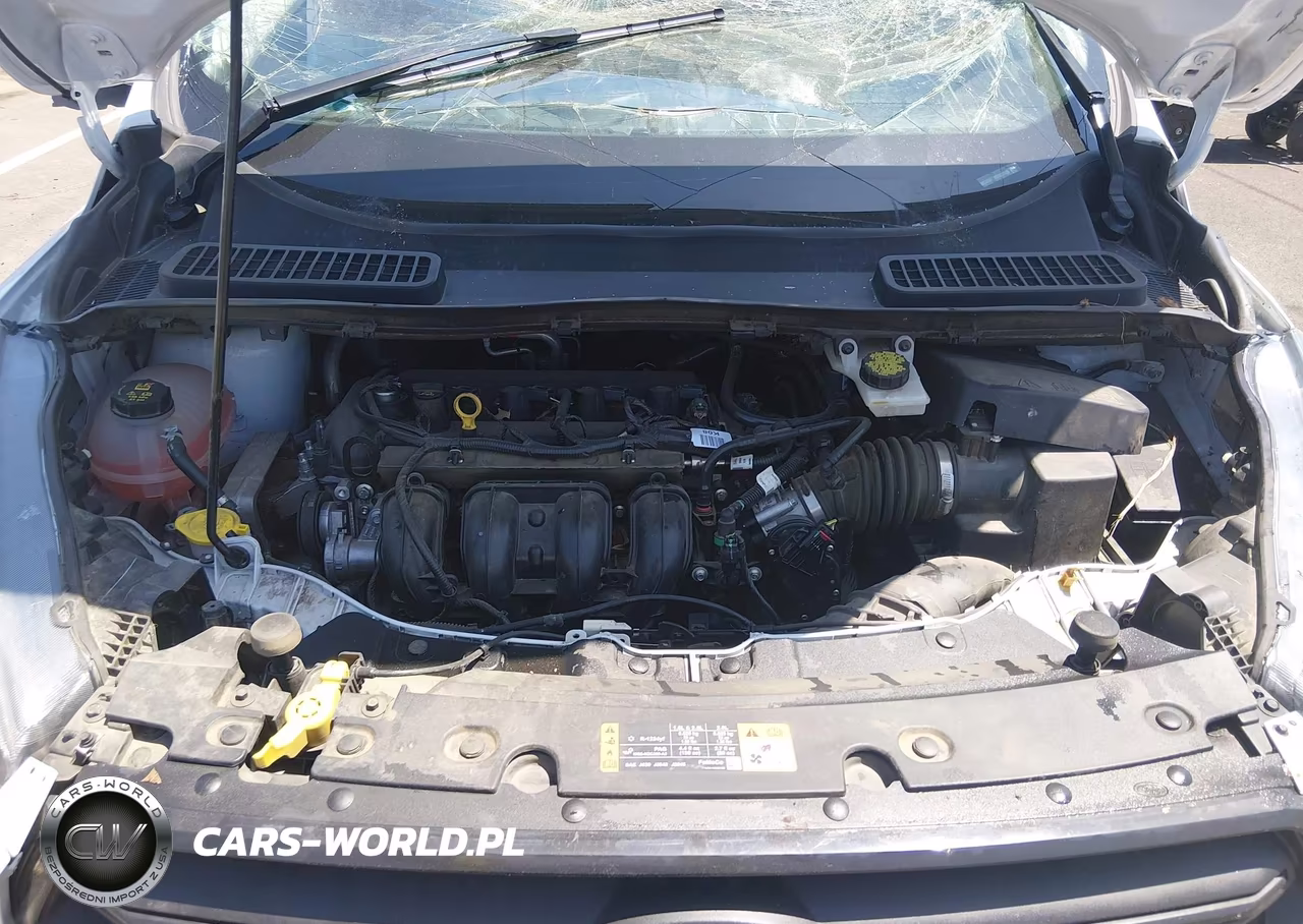 2019 Ford Escape S VIN:1FMCU0F72KUA22899 - 10
