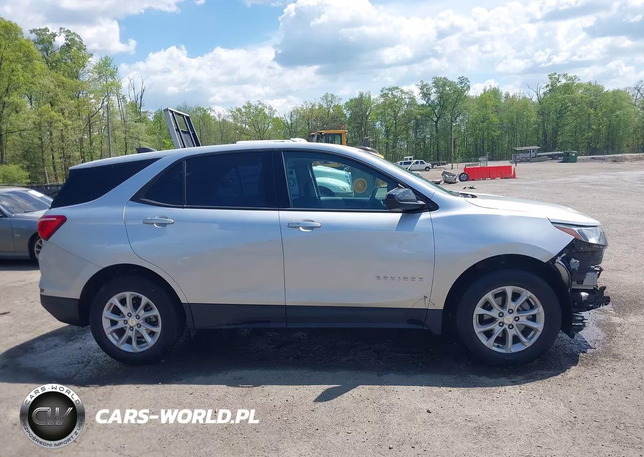 2019 Chevrolet Equinox Ls VIN:3GNAXHEV4KS642565 - 14