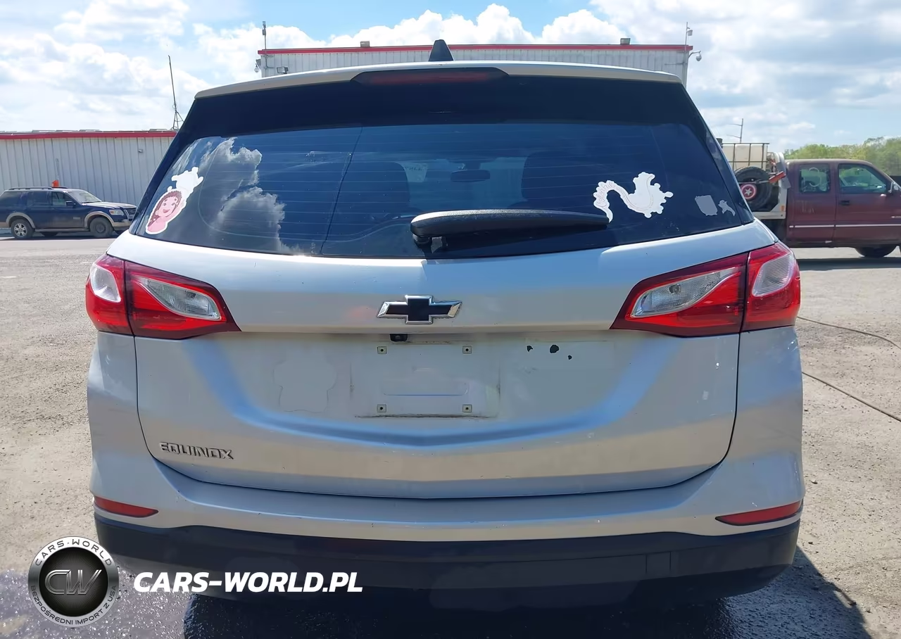 2019 Chevrolet Equinox Ls VIN:3GNAXHEV4KS642565 - 17