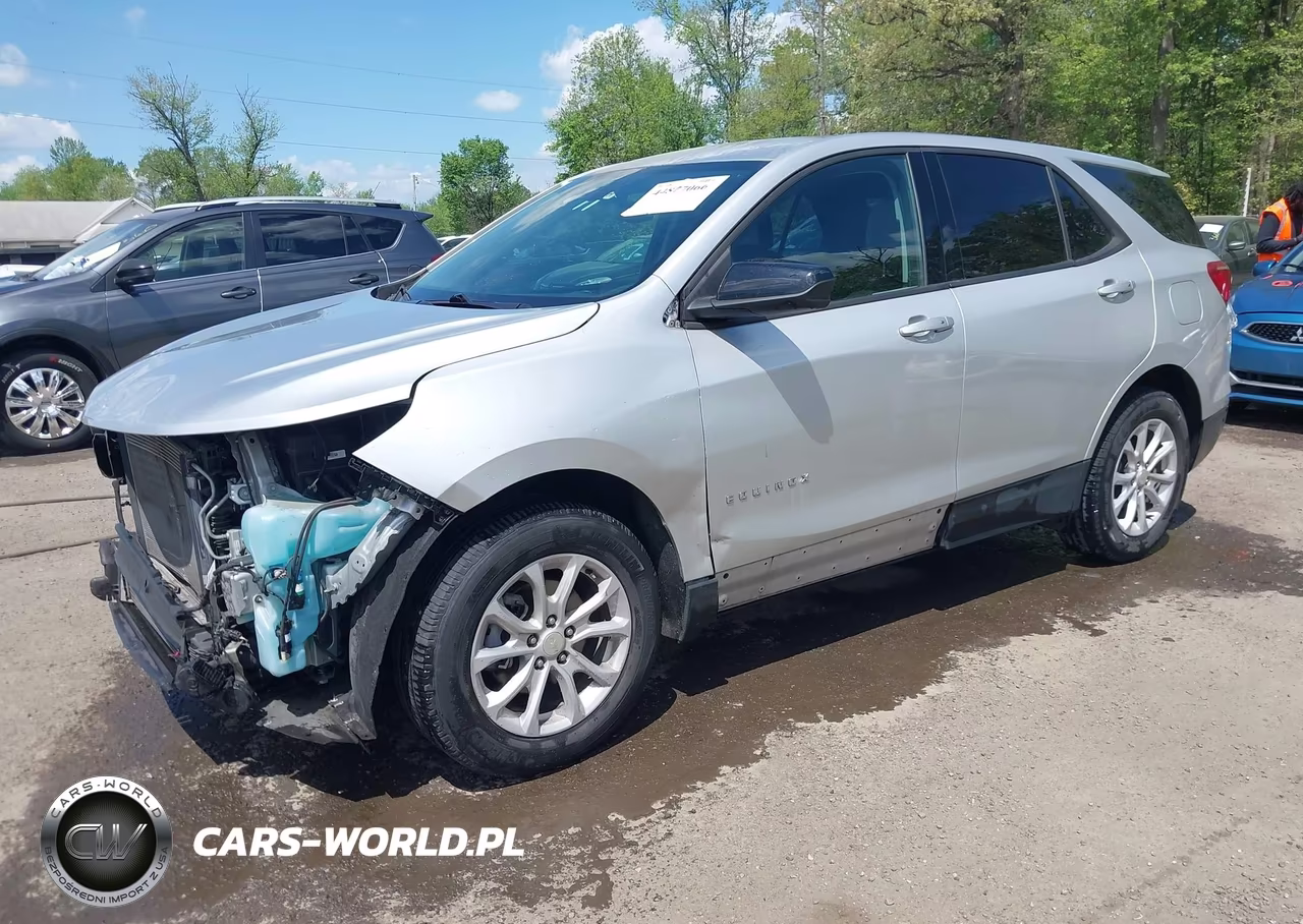 2019 Chevrolet Equinox Ls VIN:3GNAXHEV4KS642565 - 2