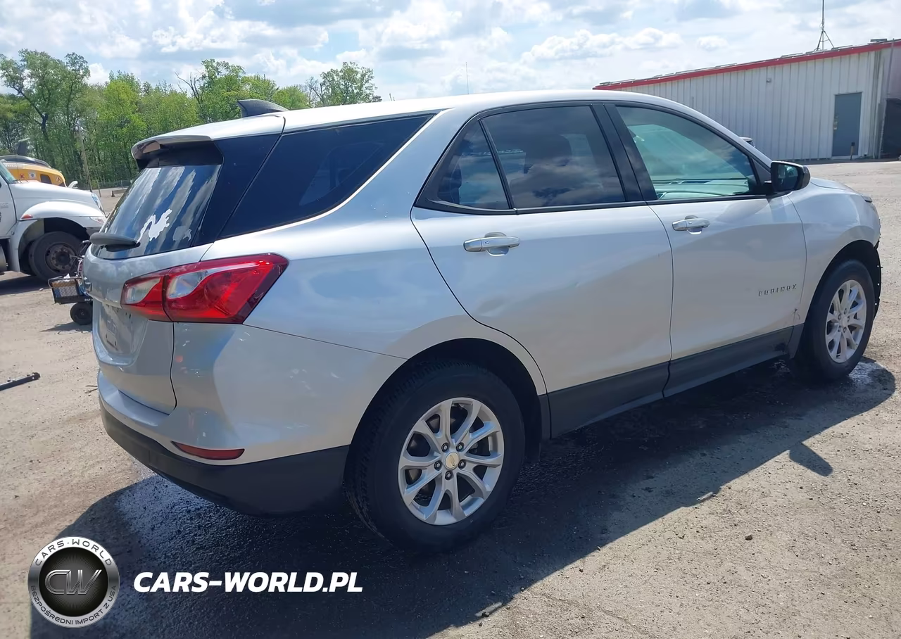 2019 Chevrolet Equinox Ls VIN:3GNAXHEV4KS642565 - 4