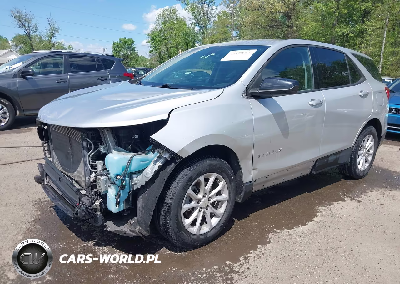 2019 Chevrolet Equinox Ls VIN:3GNAXHEV4KS642565 - 6
