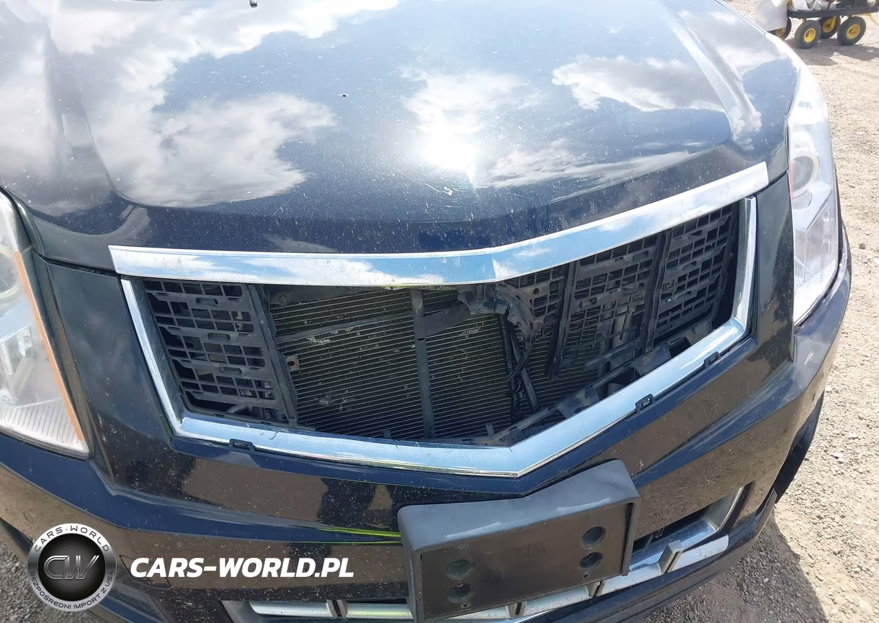 2013 Cadillac Srx Luxury Collection VIN:3GYFNCE31DS621305 - 6