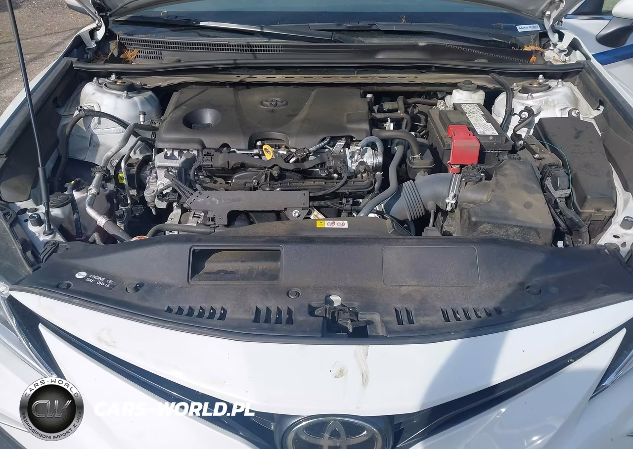 2023 Toyota Camry Le VIN:4T1C11AK4PU087738 - 10