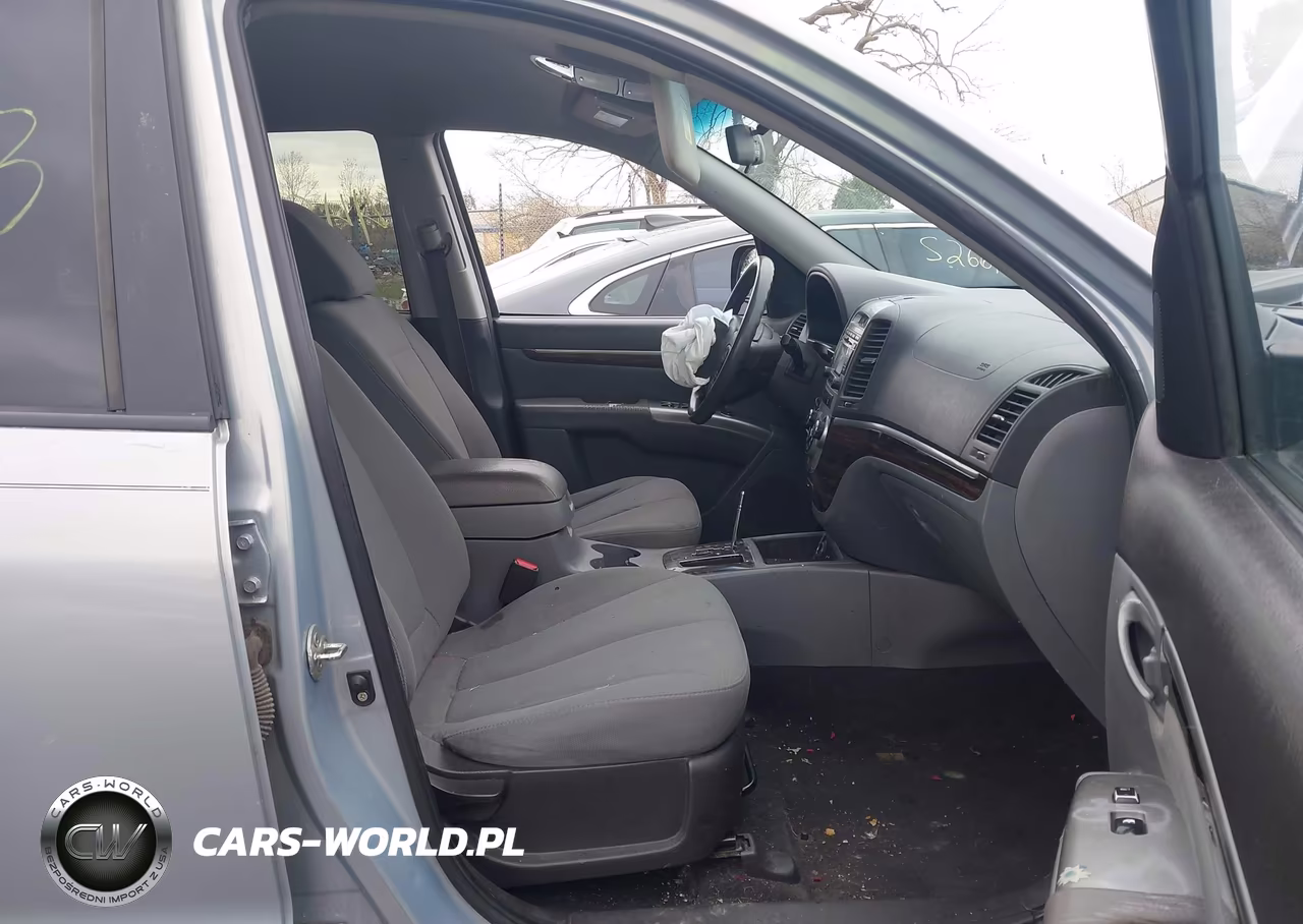2010 Hyundai Santa Fe Gls VIN:5NMSGDAB4AH367819 - 5