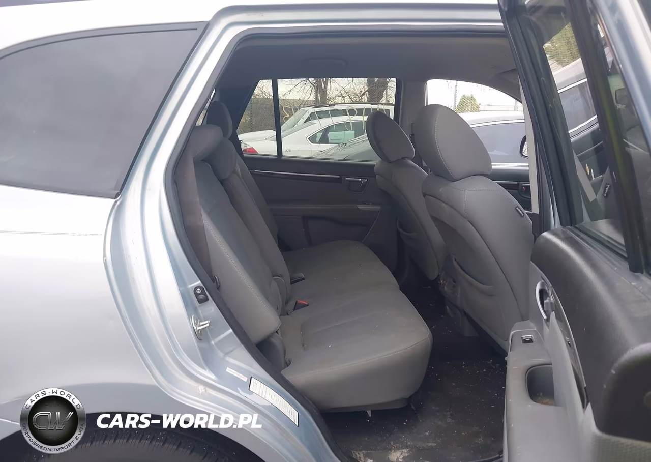 2010 Hyundai Santa Fe Gls VIN:5NMSGDAB4AH367819 - 8