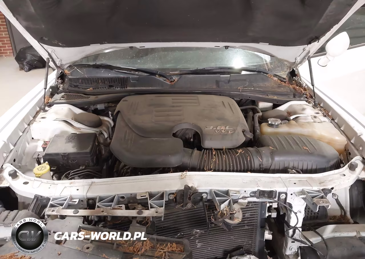 2015 Dodge Challenger Sxt Plus VIN:2C3CDZBG2FH885245 - 10