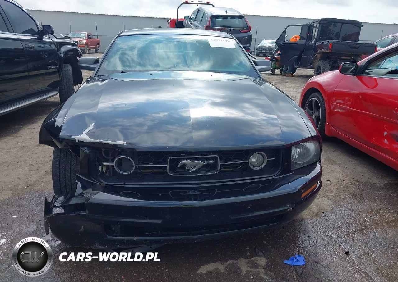 2007 Ford Mustang V6 Deluxe-V6 Premium VIN:1ZVHT80N975325129 - 12