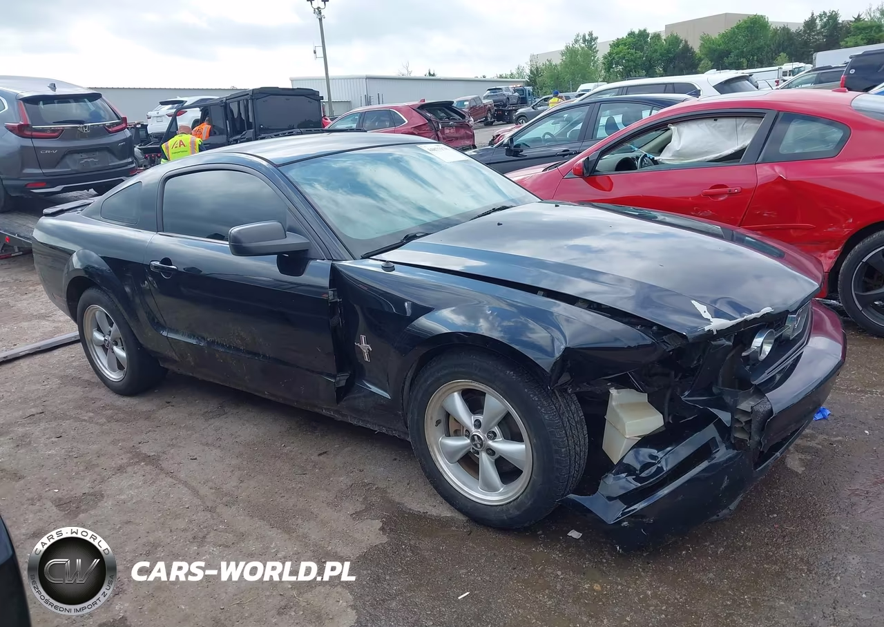 2007 Ford Mustang V6 Deluxe-V6 Premium VIN:1ZVHT80N975325129 - 13