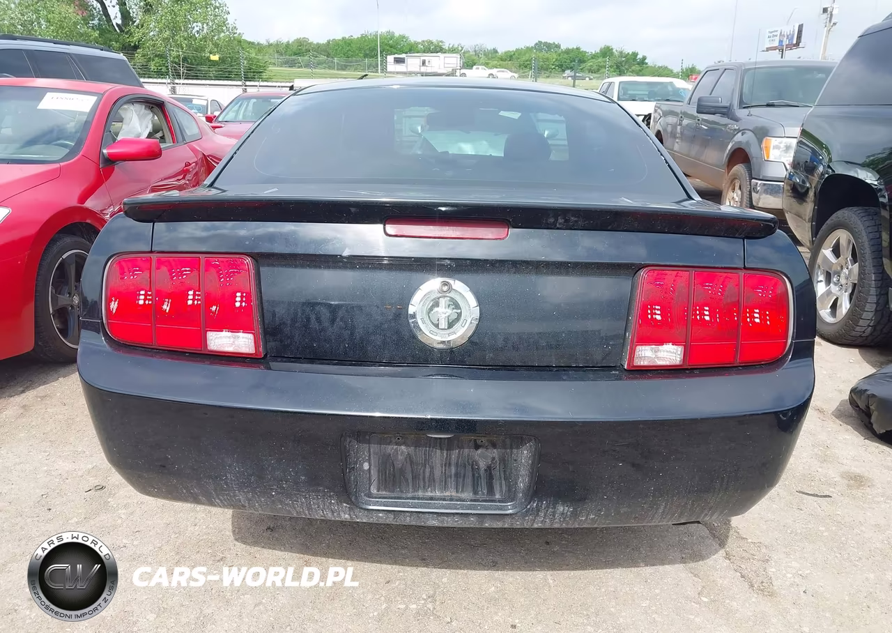 2007 Ford Mustang V6 Deluxe-V6 Premium VIN:1ZVHT80N975325129 - 16