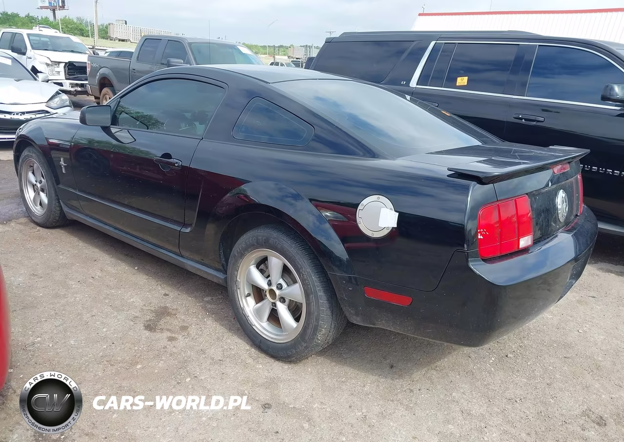 2007 Ford Mustang V6 Deluxe-V6 Premium VIN:1ZVHT80N975325129 - 3