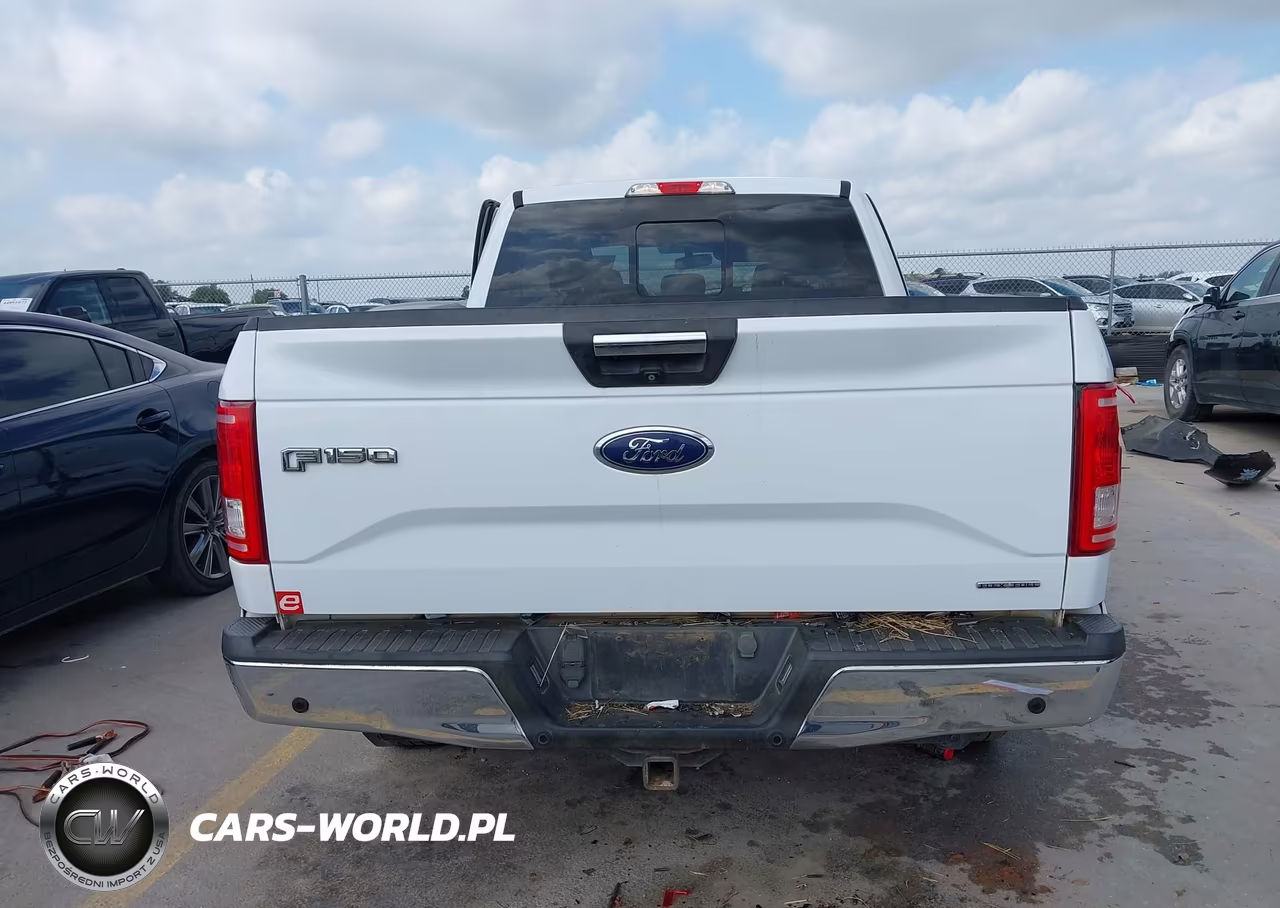 2015 Ford F-150 Xlt VIN:1FTEW1CF0FKD32964 - 17