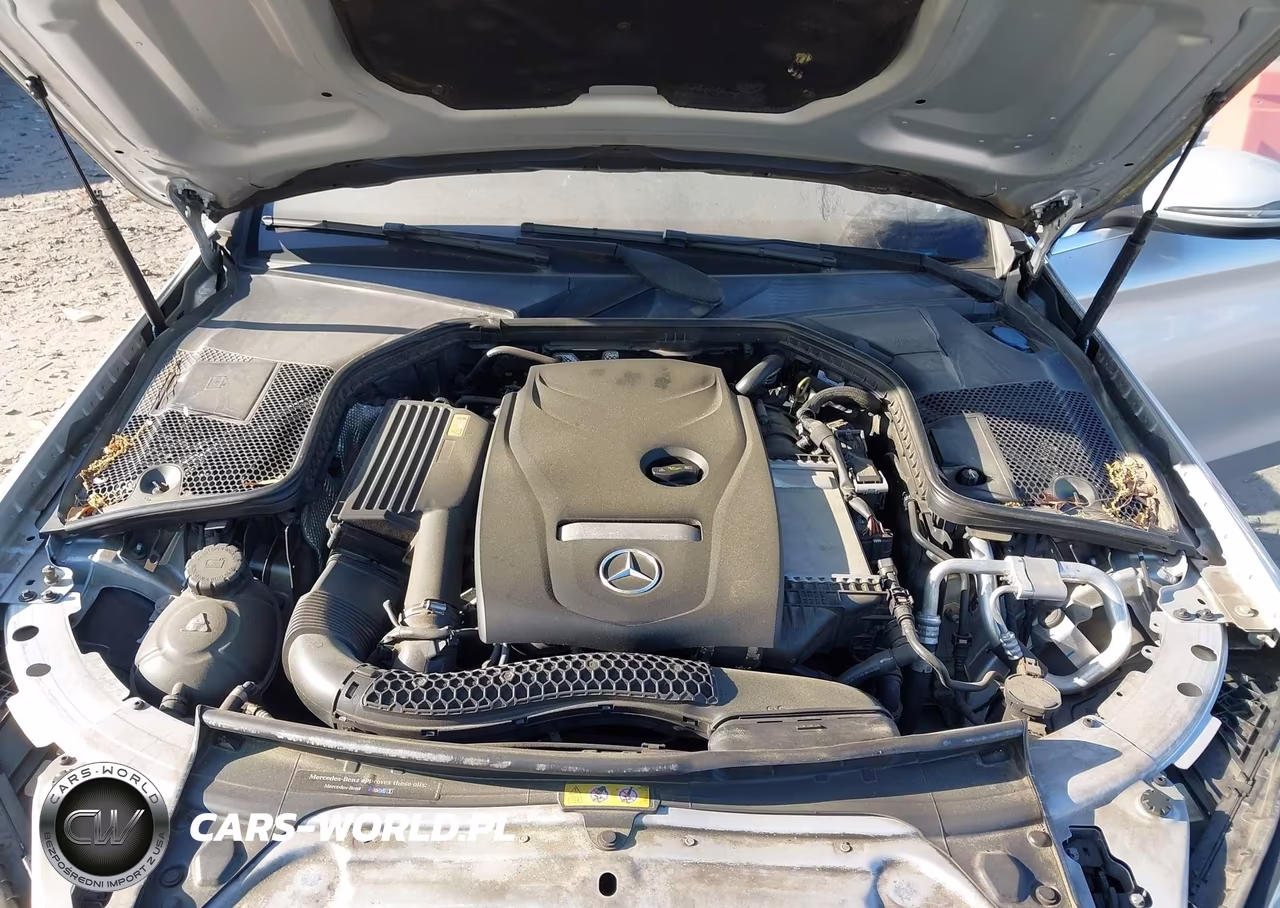 2018 Mercedes-Benz C 300 VIN:55SWF4JB7JU238641 - 10