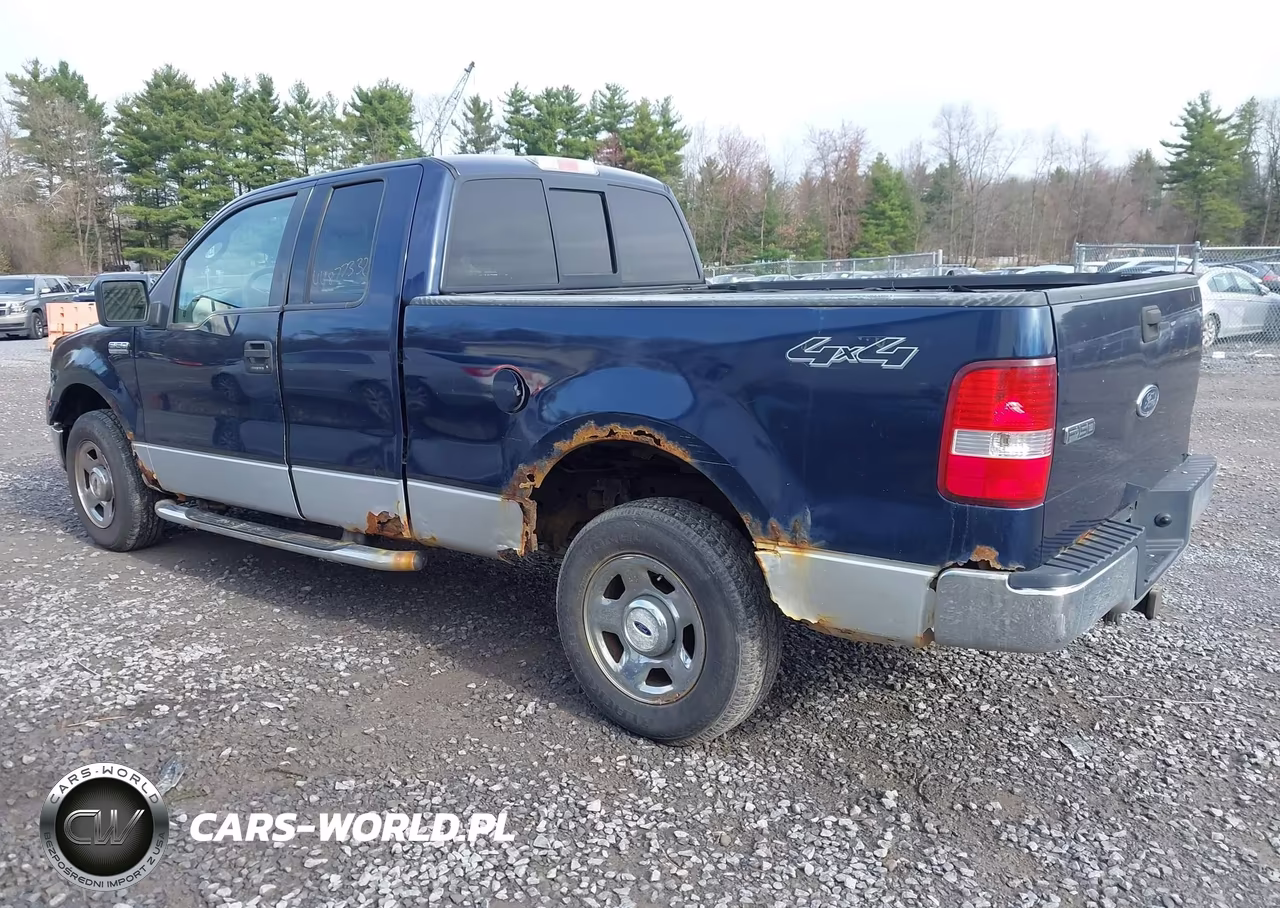 2004 Ford F-150 Stx-Xl-Xlt VIN:1FTRX14W24NC40859 - 3