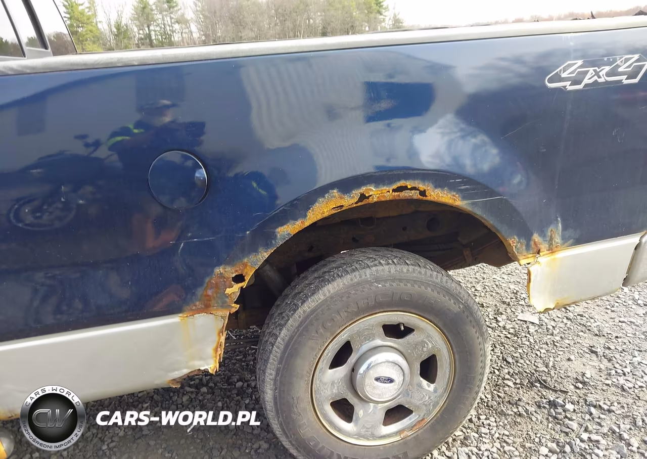 2004 Ford F-150 Stx-Xl-Xlt VIN:1FTRX14W24NC40859 - 6