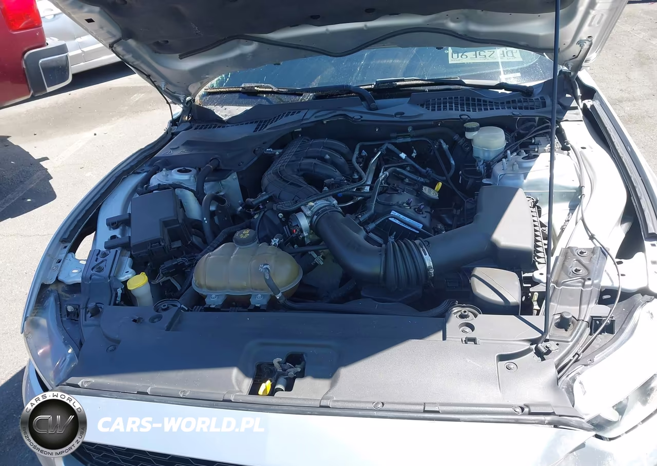 2015 Ford Mustang V6 VIN:1FA6P8AM9F5373335 - 10
