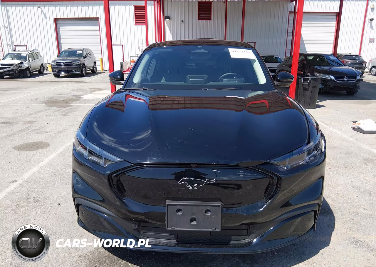 2024 Ford Mustang Mach-E Premium VIN:3FMTK3R41RMA53777 - 12