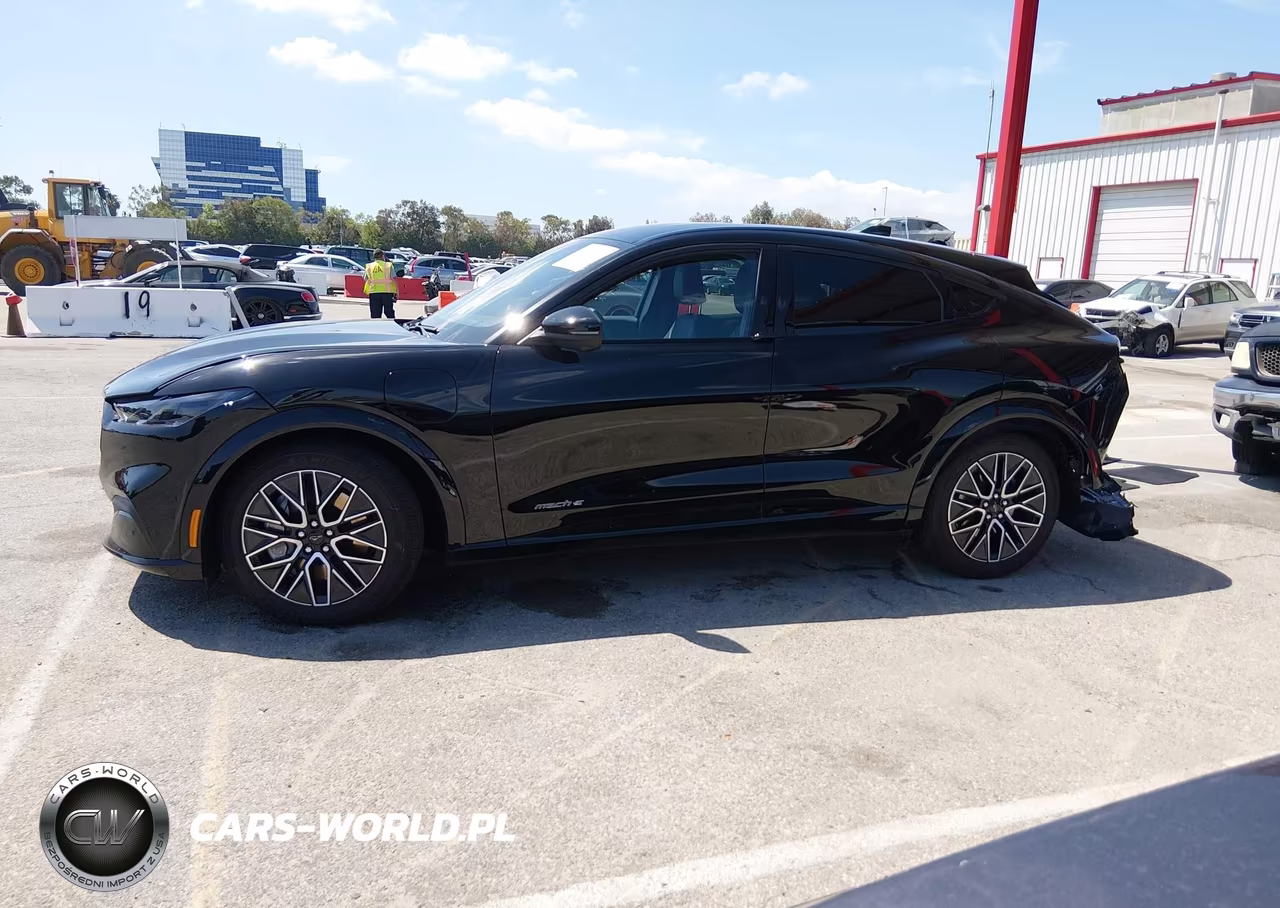 2024 Ford Mustang Mach-E Premium VIN:3FMTK3R41RMA53777 - 14