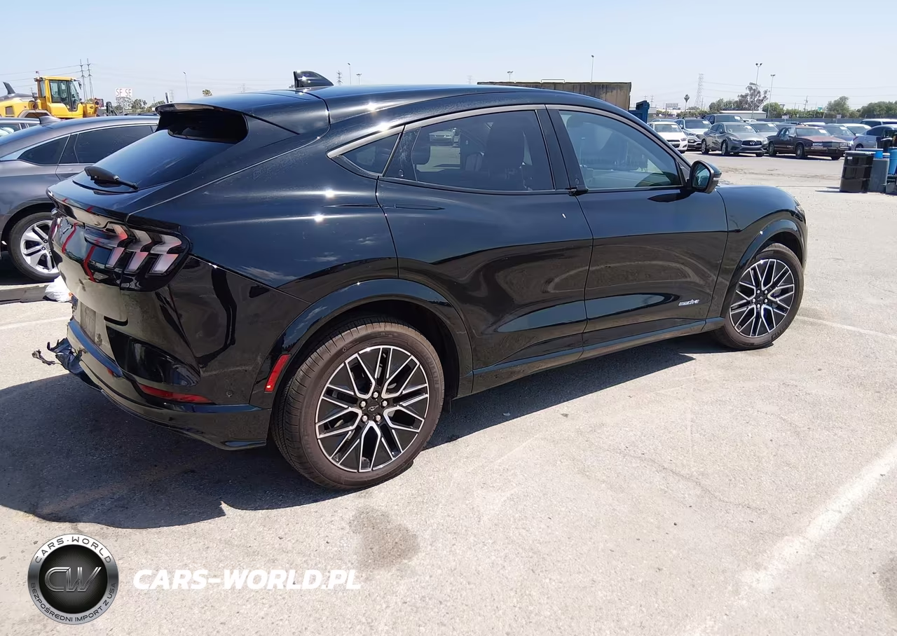 2024 Ford Mustang Mach-E Premium VIN:3FMTK3R41RMA53777 - 4