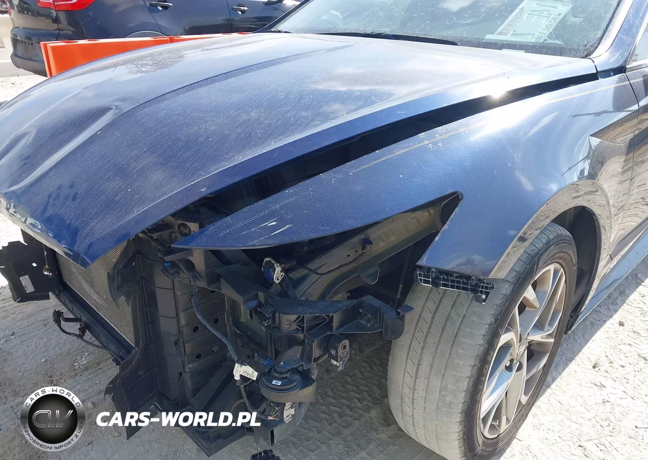 2020 Hyundai Sonata Sel VIN:5NPEL4JA5LH035281 - 17