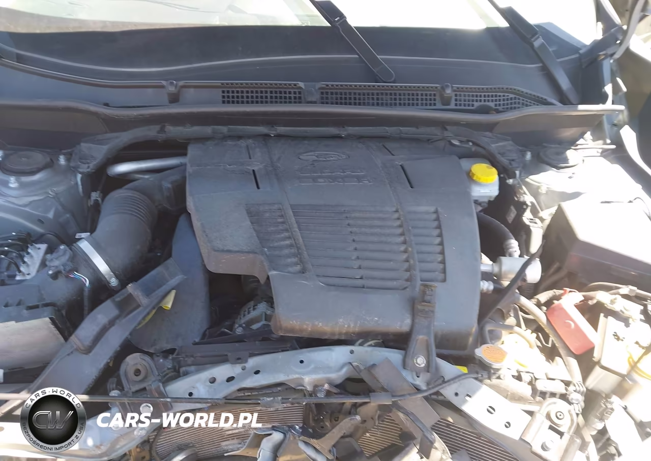 2024 Subaru Forester Limited VIN:JF2SKALC7RH428761 - 10