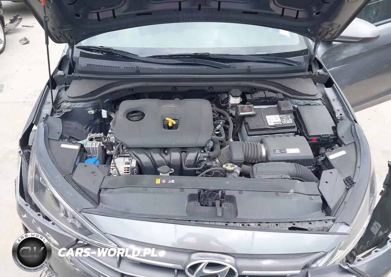 2019 Hyundai Elantra Se VIN:5NPD74LF9KH491176 - 10