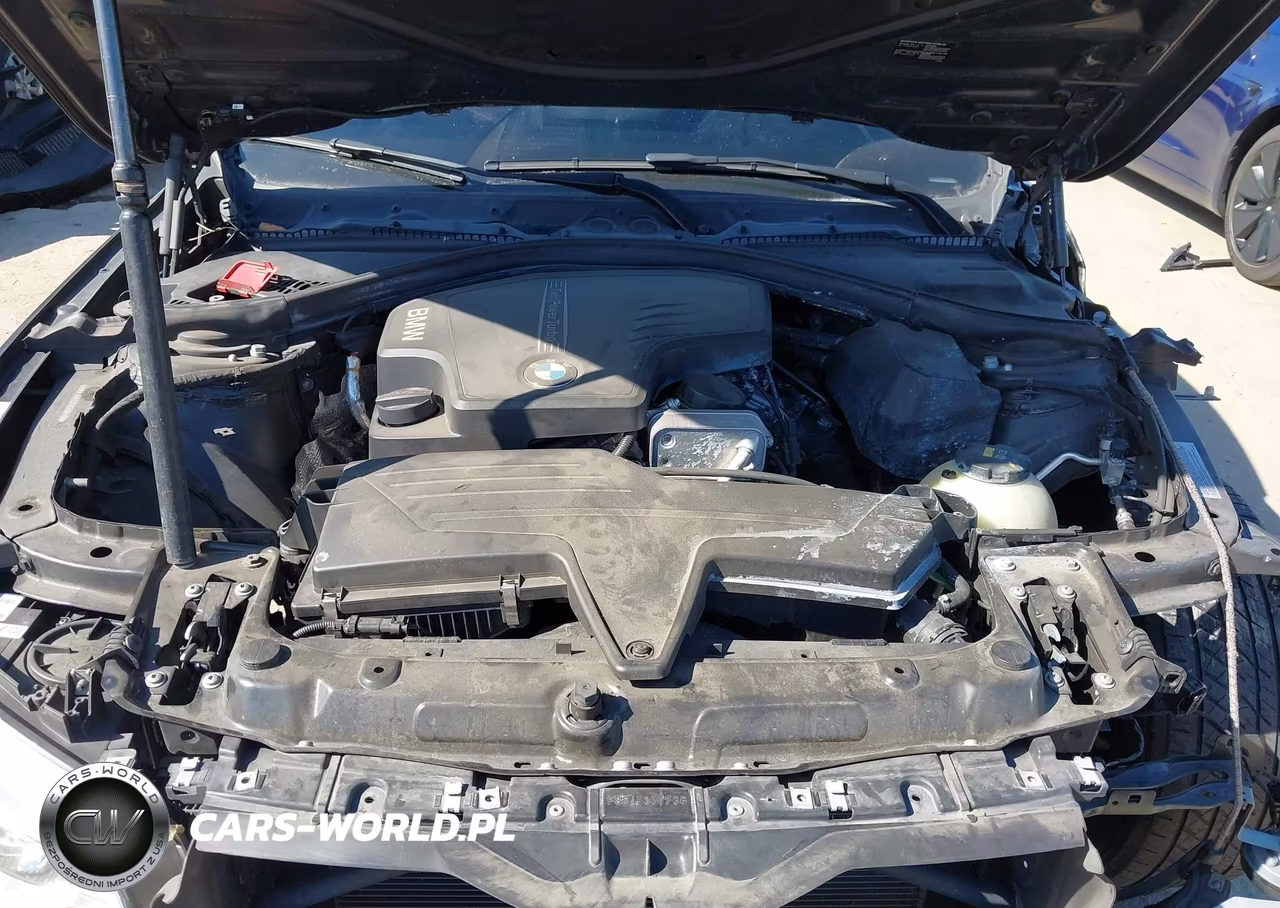 2014 BMW 428I VIN:WBA3N7C5XEK220446 - 10