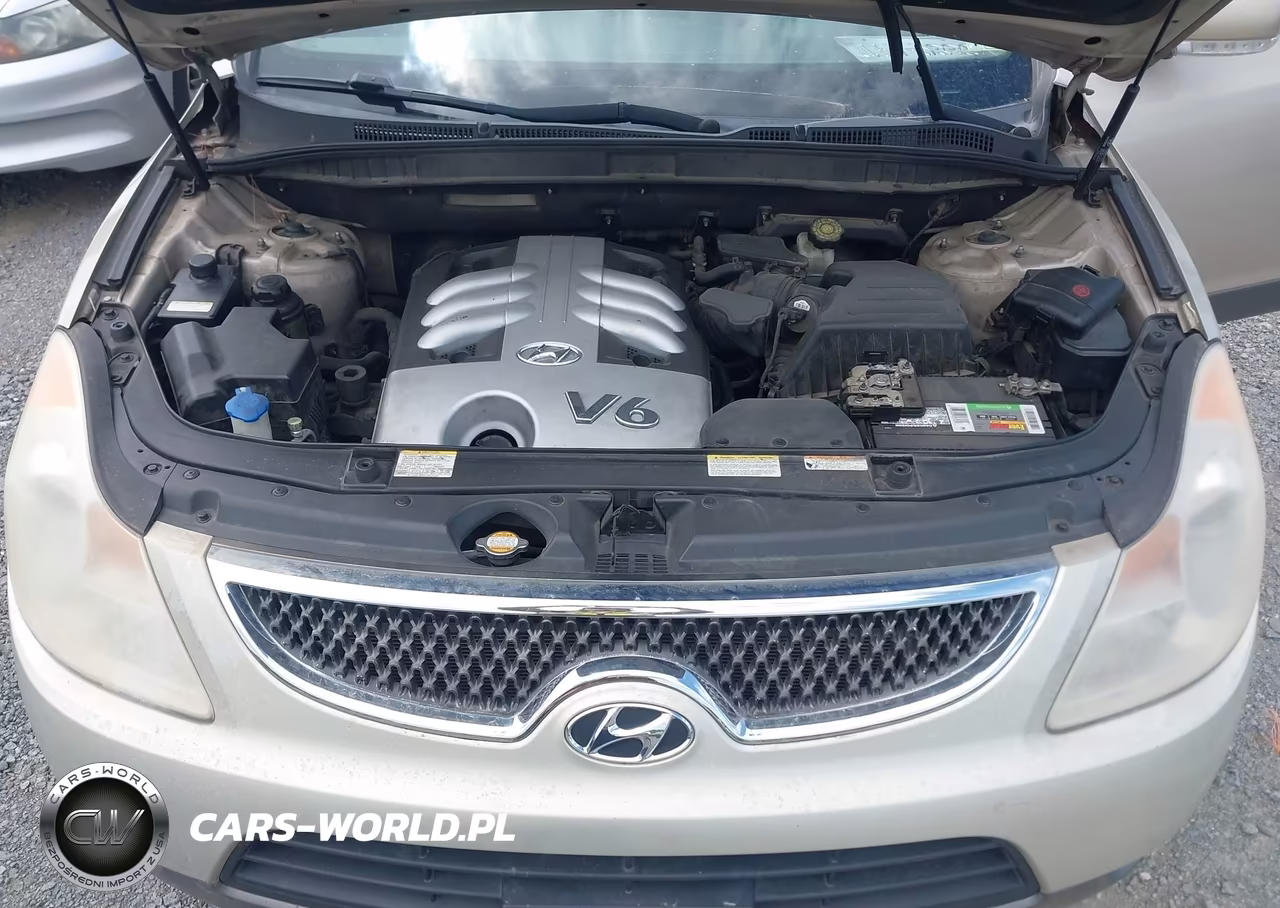 2007 Hyundai Veracruz Gls-Limited-Se VIN:KM8NU73C17U016084 - 10