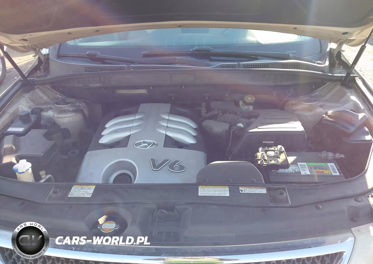 2007 Hyundai Veracruz Gls-Limited-Se VIN:KM8NU73C17U016084 - 17