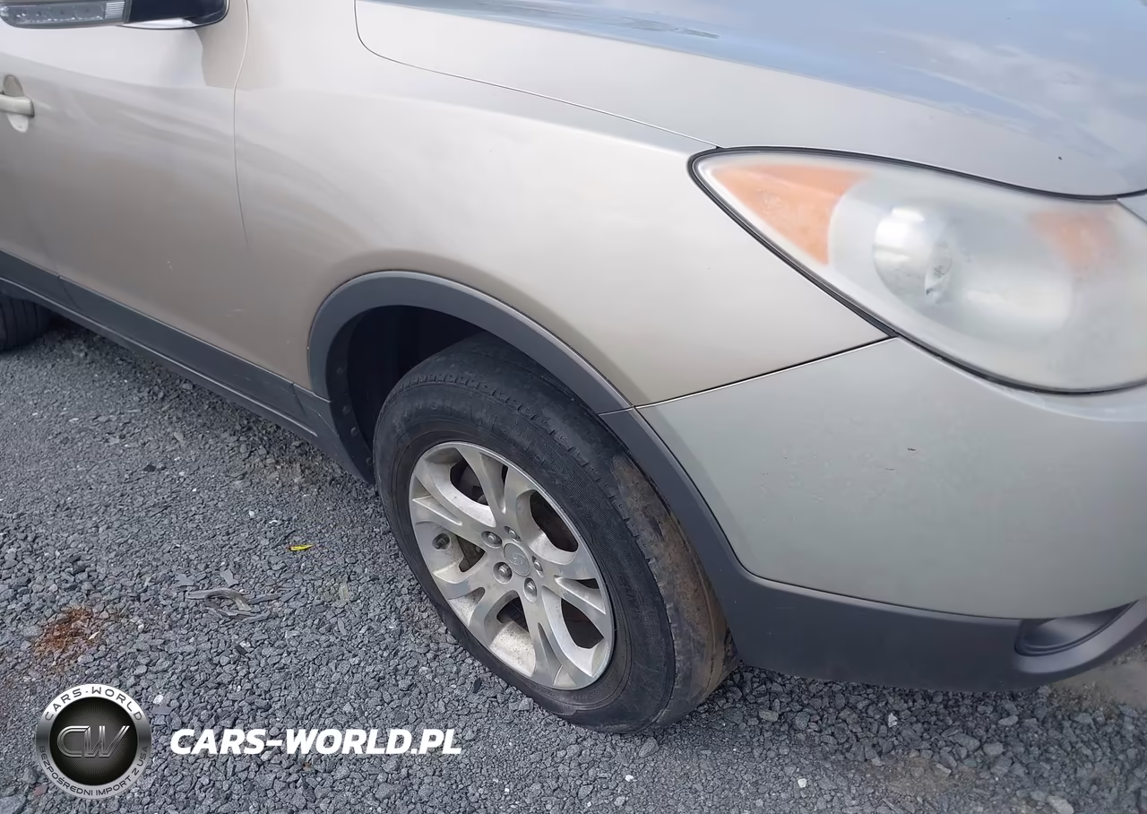 2007 Hyundai Veracruz Gls-Limited-Se VIN:KM8NU73C17U016084 - 6