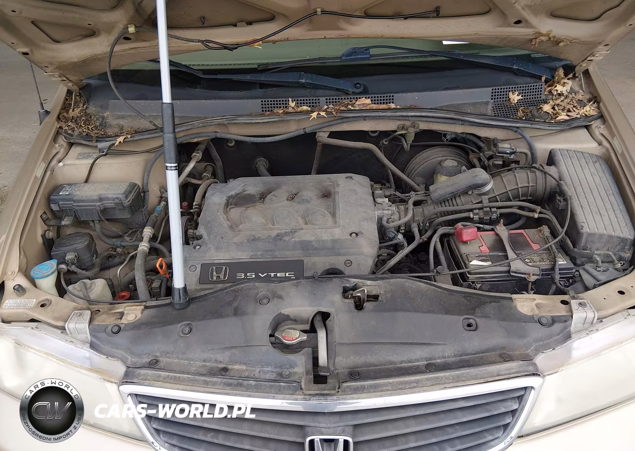 2001 Honda Odyssey Ex VIN:2HKRL18621H528320 - 10