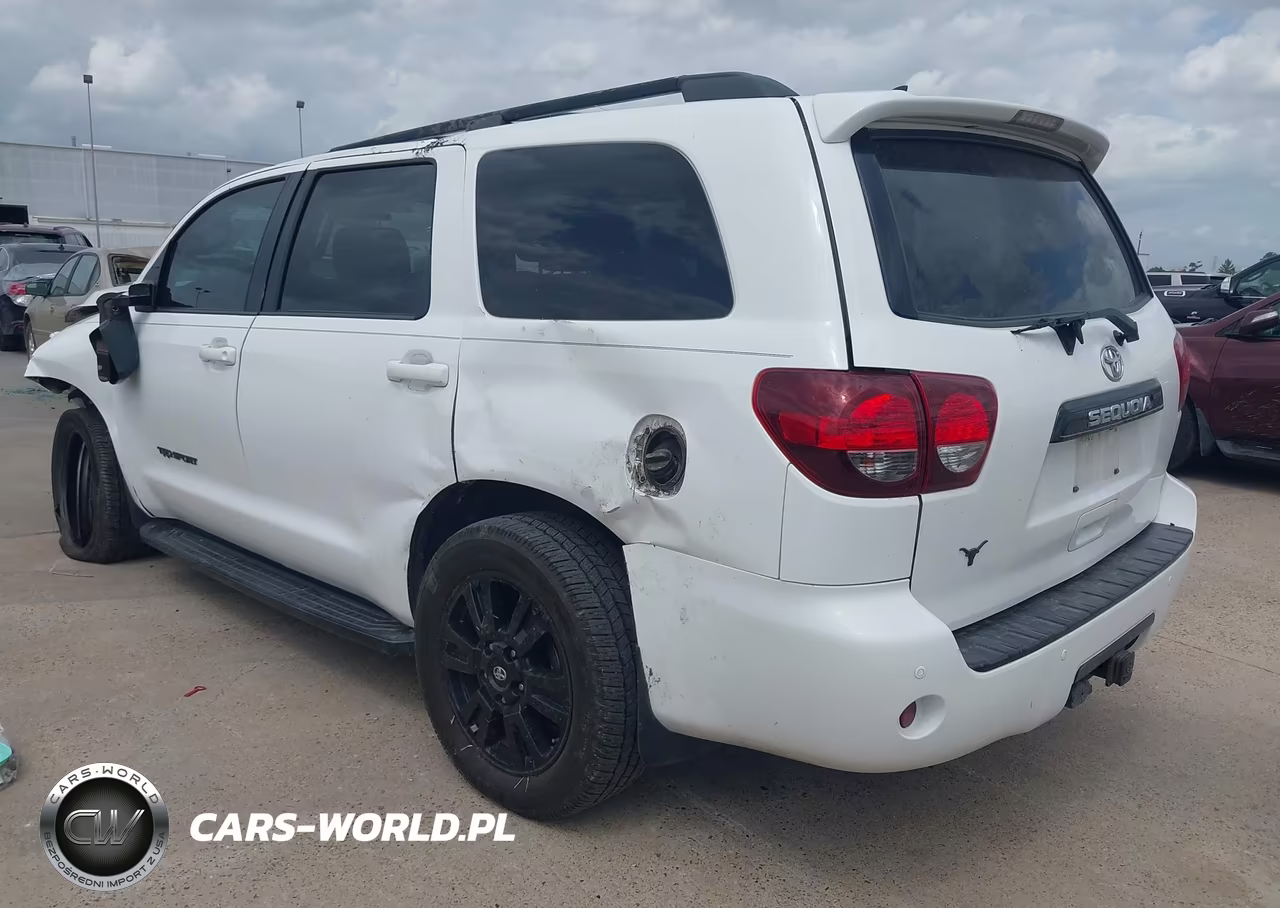 2018 Toyota Sequoia Trd Sport VIN:5TDZY5G11JS071251 - 3