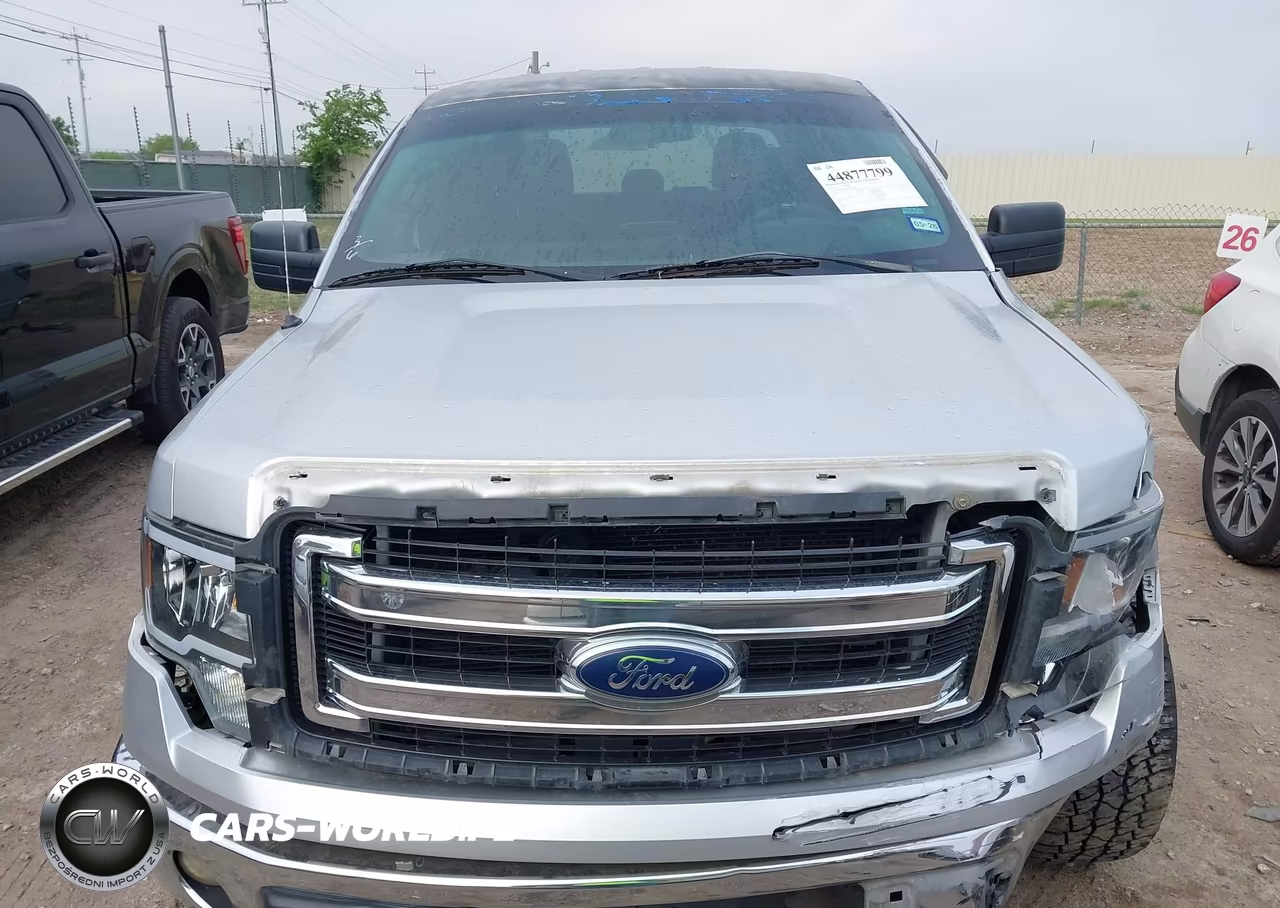 2013 Ford F-150 Xlt VIN:1FTEW1CM7DFA60448 - 12