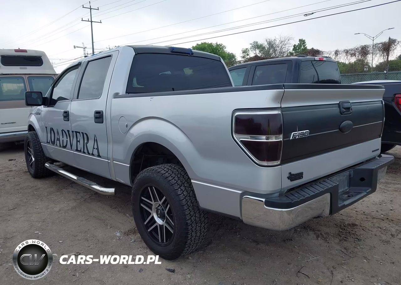 2013 Ford F-150 Xlt VIN:1FTEW1CM7DFA60448 - 3