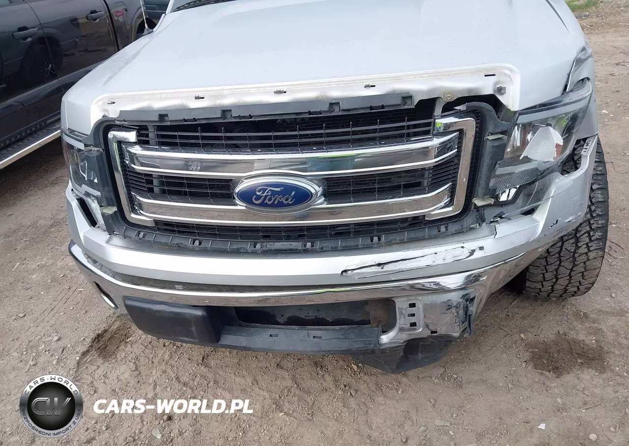 2013 Ford F-150 Xlt VIN:1FTEW1CM7DFA60448 - 6