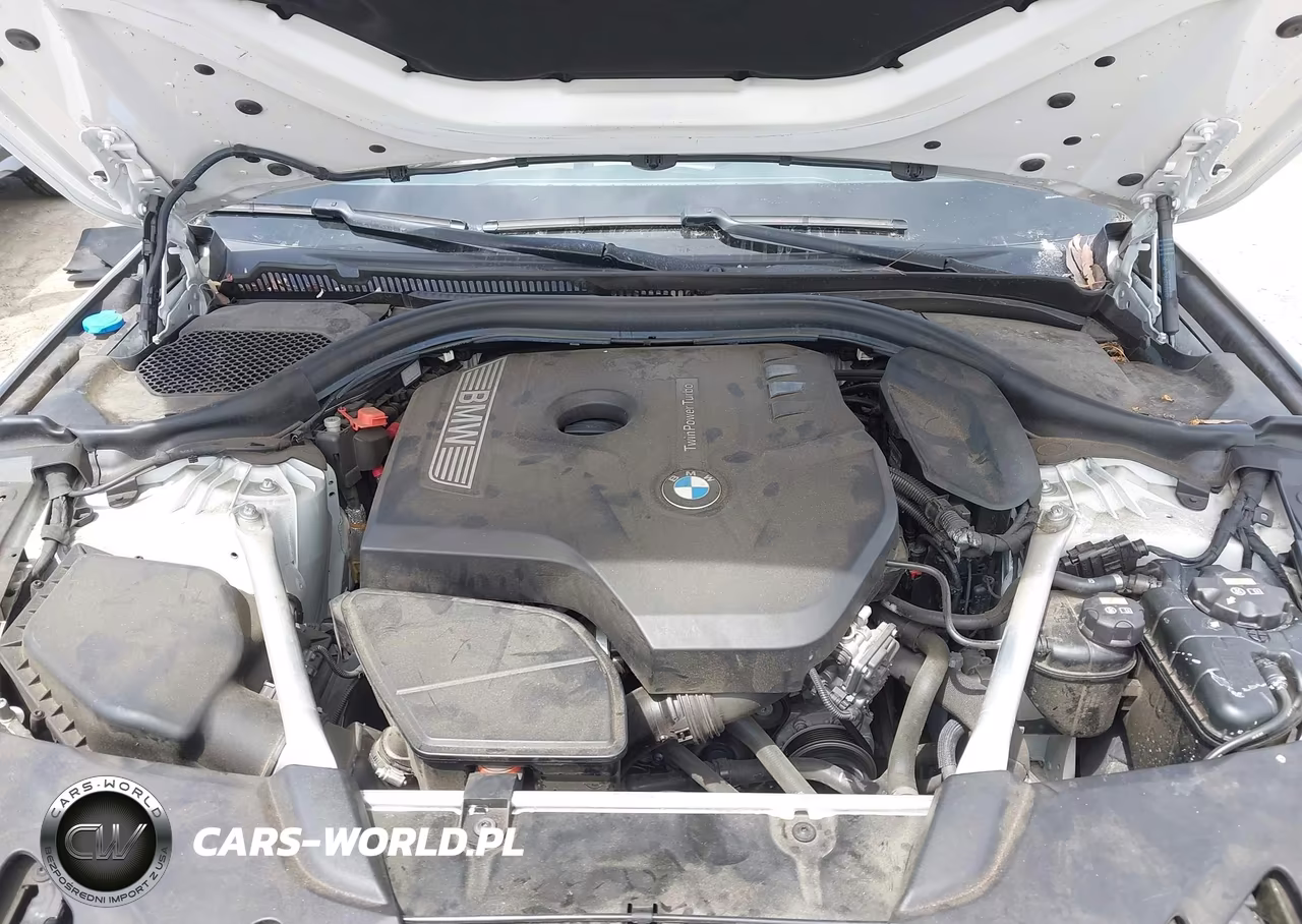 2019 BMW 530I VIN:WBAJA5C57KWW49359 - 10
