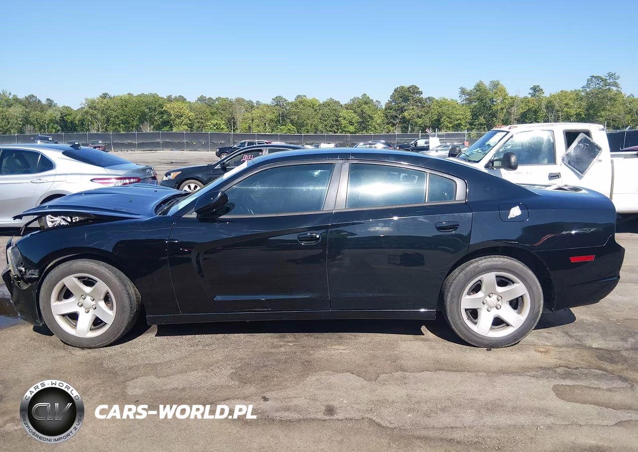 2014 Dodge Charger Police VIN:2C3CDXAG0EH257110 - 14