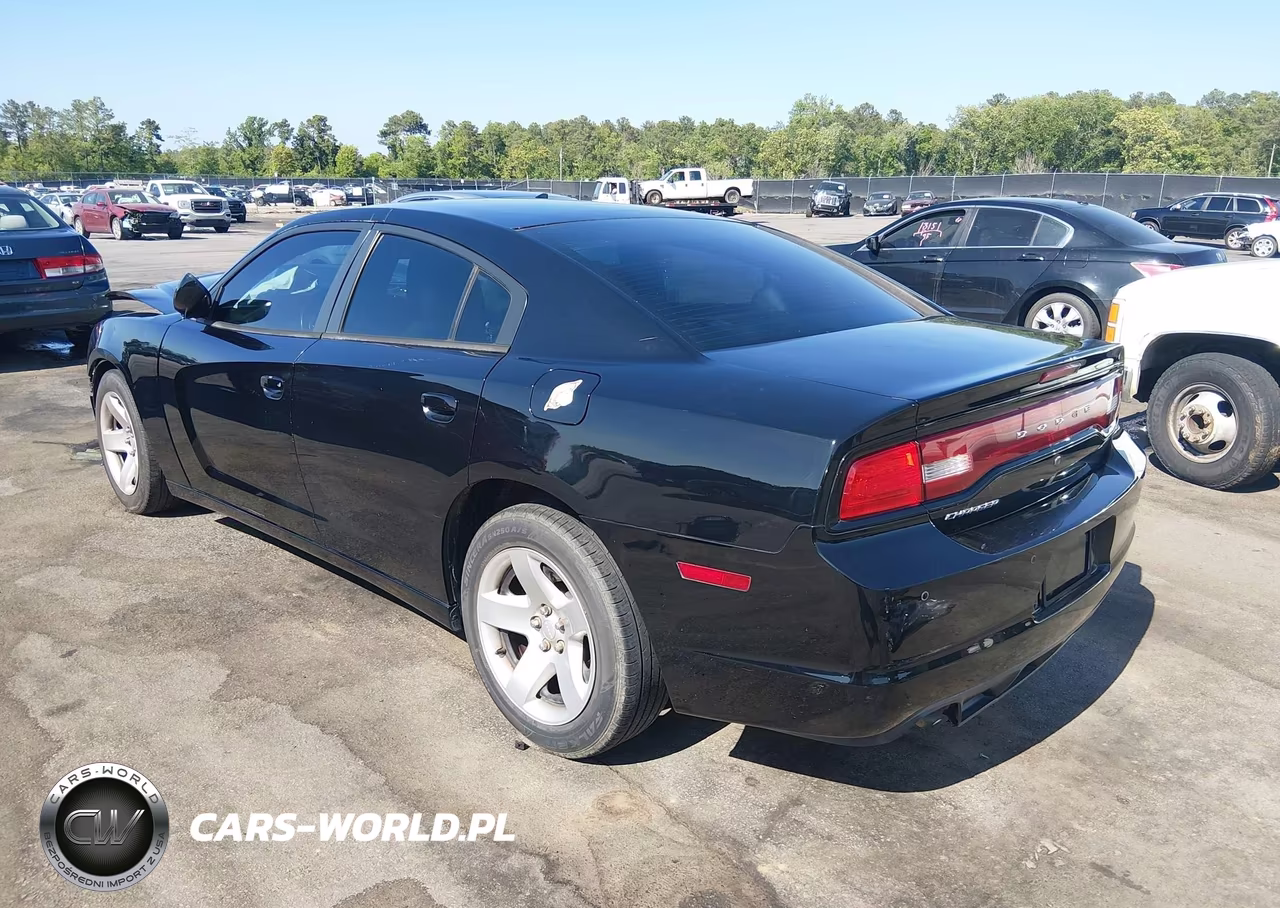 2014 Dodge Charger Police VIN:2C3CDXAG0EH257110 - 3