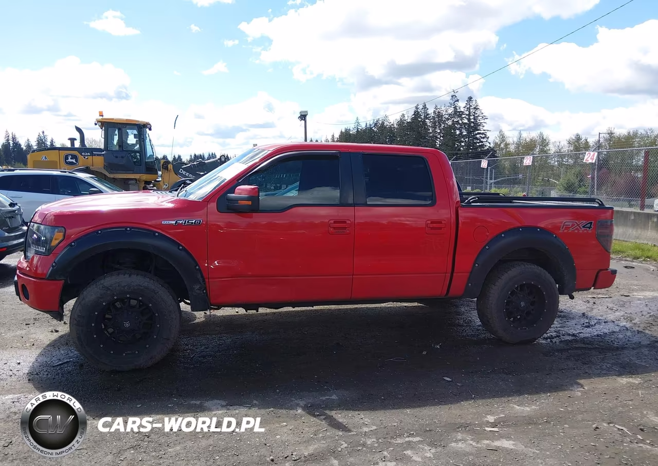 2013 Ford F-150 Fx4 VIN:1FTFW1EF3DKE13584 - 14